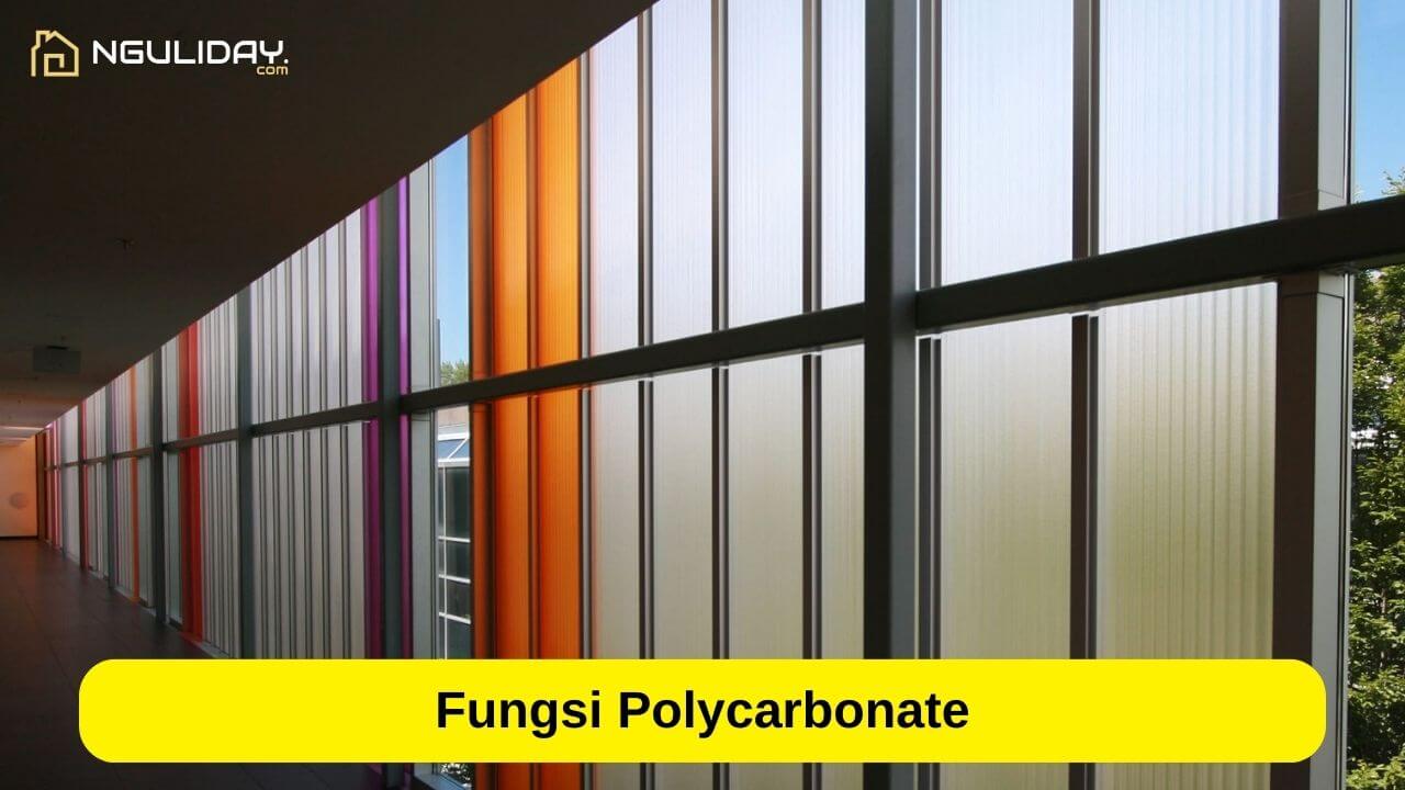 Fungsi Polycarbonate