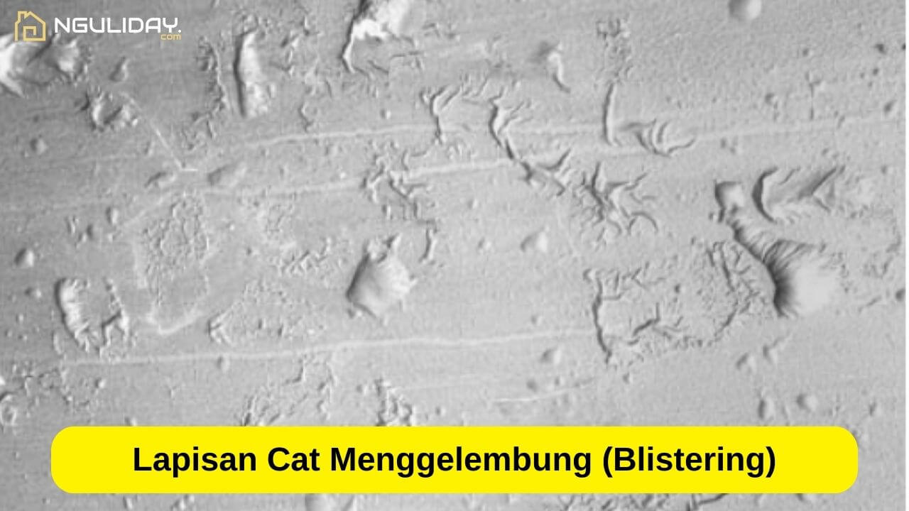 Daftar Harga Cat Decolith